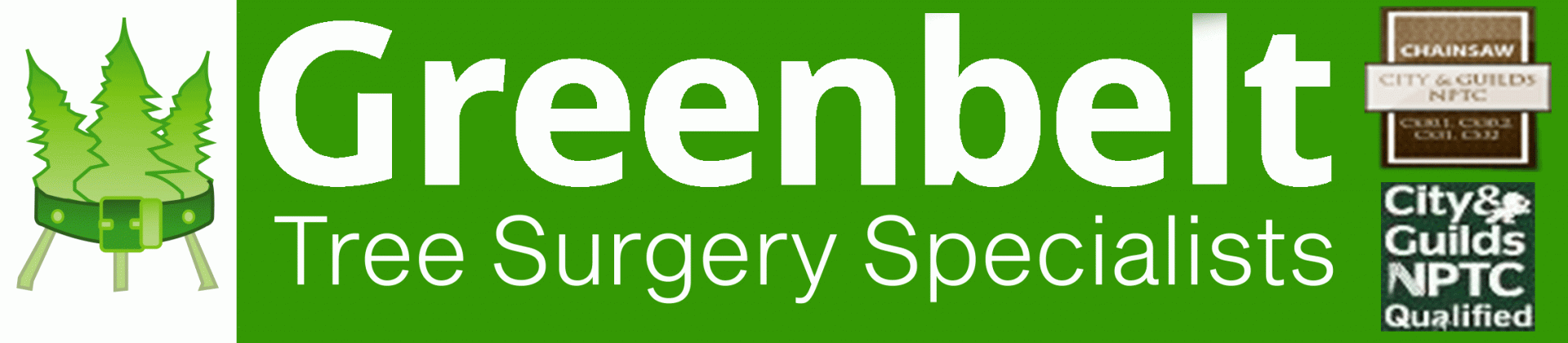Greenbelt Tree Surgery Specialists tree surgeon, Bognor Regis