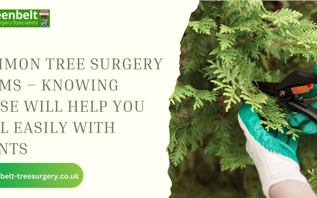 Common Tree Surgery Terms – Knowing These Will Help You Deal Easily With Plants
